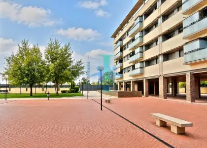 Apartamento en alquiler zona facultad de medicina en Albacete