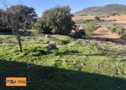 Finca Rústica en Valdepeñas, Baños del Peral en Valdepeñas