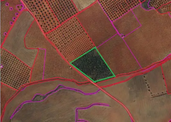 Finca Rústica en Valdepeñas, Carretera Torre Nueva