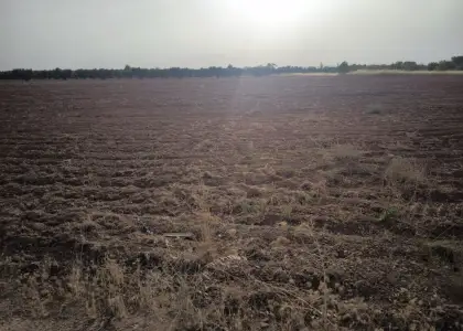 Finca Rústica en Valdepeñas, Valdepeñas en Valdepeñas
