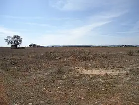 Finca Rústica Venta Periferia, Manzanares