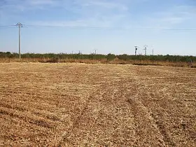 Parcela Rústica Venta Pozuelo De Calatrava, Pozuelo De Calatrava