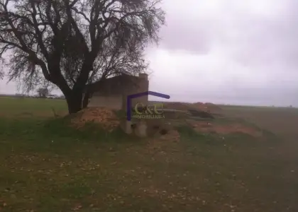 venta de terreno en Manzanares, Camino de Daimiel en Manzanares